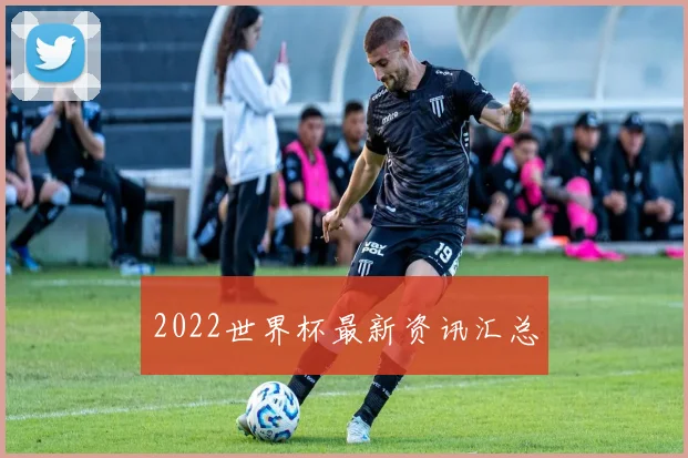 2022世界杯最新资讯汇总